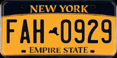 NY license plate FAH0929