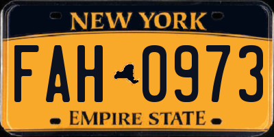 NY license plate FAH0973