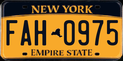 NY license plate FAH0975