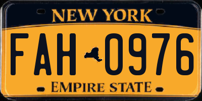 NY license plate FAH0976