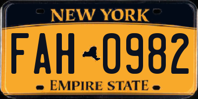 NY license plate FAH0982