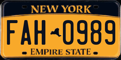 NY license plate FAH0989