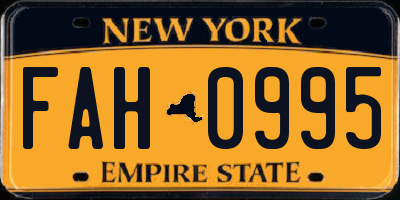 NY license plate FAH0995