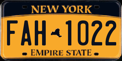 NY license plate FAH1022