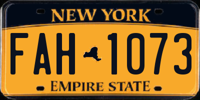 NY license plate FAH1073