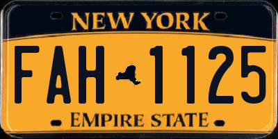 NY license plate FAH1125