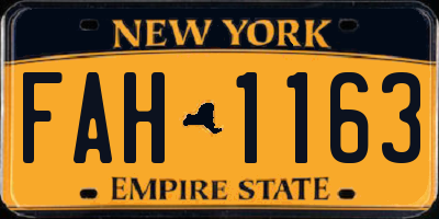 NY license plate FAH1163