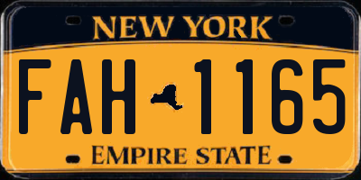 NY license plate FAH1165