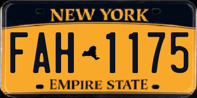 NY license plate FAH1175