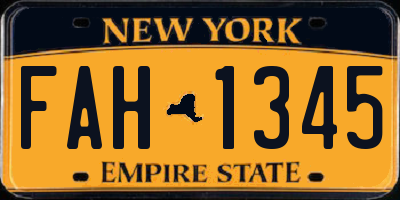 NY license plate FAH1345