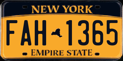 NY license plate FAH1365