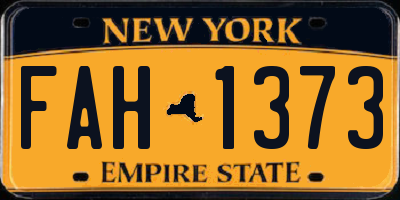 NY license plate FAH1373