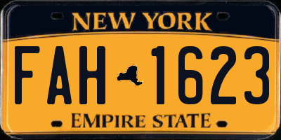 NY license plate FAH1623