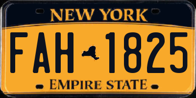 NY license plate FAH1825