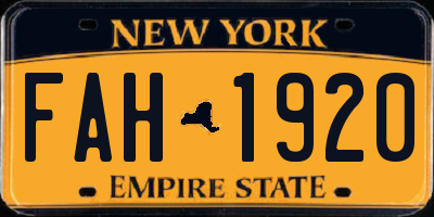 NY license plate FAH1920