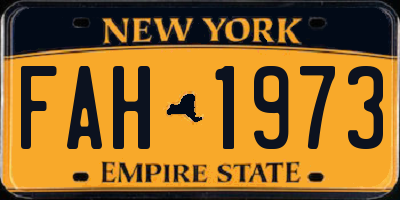 NY license plate FAH1973