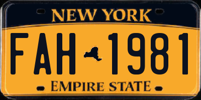 NY license plate FAH1981