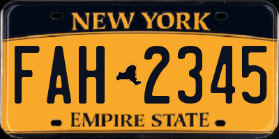 NY license plate FAH2345