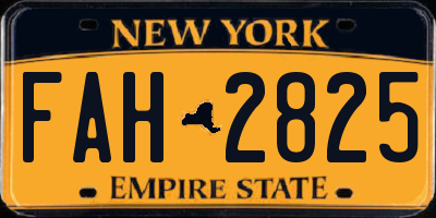 NY license plate FAH2825