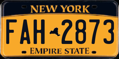 NY license plate FAH2873