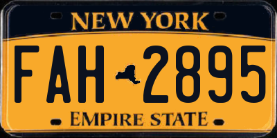 NY license plate FAH2895