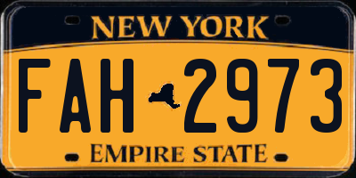 NY license plate FAH2973