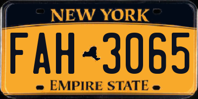 NY license plate FAH3065