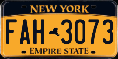 NY license plate FAH3073