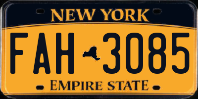 NY license plate FAH3085