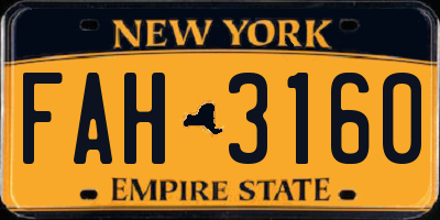 NY license plate FAH3160