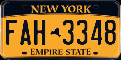 NY license plate FAH3348