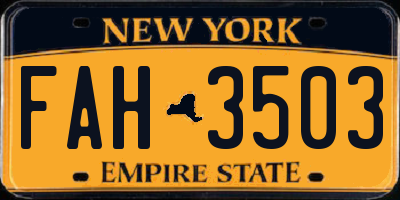 NY license plate FAH3503