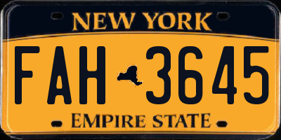 NY license plate FAH3645