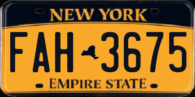 NY license plate FAH3675