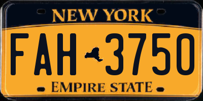 NY license plate FAH3750
