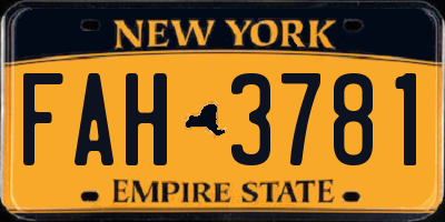 NY license plate FAH3781