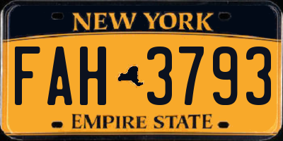 NY license plate FAH3793