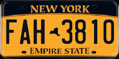 NY license plate FAH3810