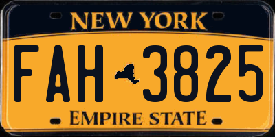 NY license plate FAH3825