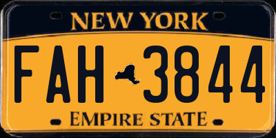 NY license plate FAH3844