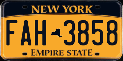 NY license plate FAH3858