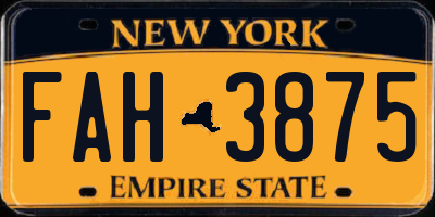 NY license plate FAH3875