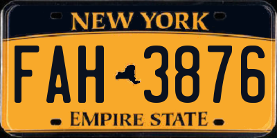 NY license plate FAH3876