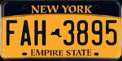 NY license plate FAH3895