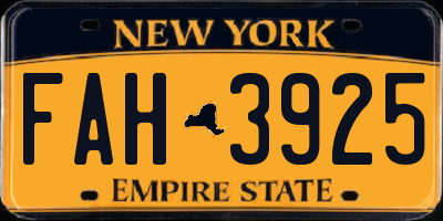 NY license plate FAH3925