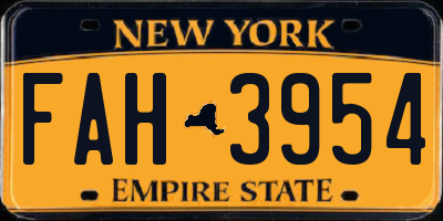 NY license plate FAH3954