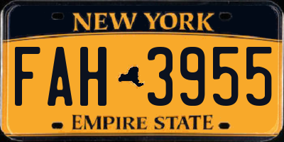 NY license plate FAH3955