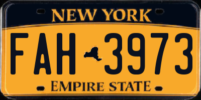 NY license plate FAH3973