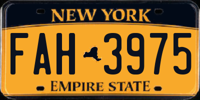 NY license plate FAH3975