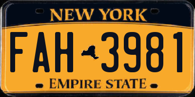 NY license plate FAH3981